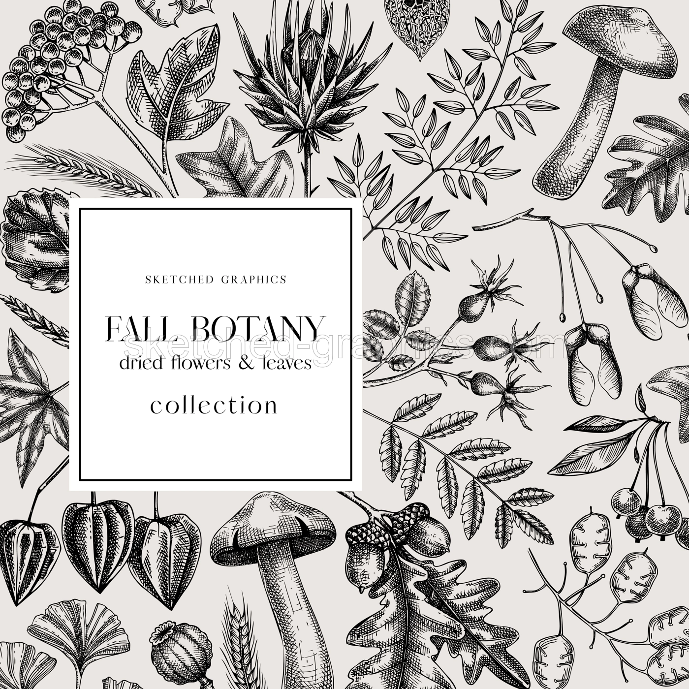 Autumn card or invitation. Thanksgiving banner design. Fall wreath with fall leaves and dried flowers. Sketched dried herbs, falling leaves, mushrooms, seeds. Black and white illustration Illustration